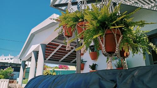 Mata Beach Caparica Mata Beach Caparica