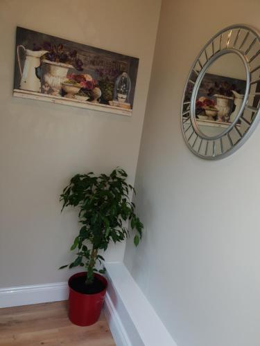 Beechwood Lodge in Blarney