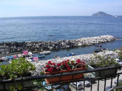 B&B Borgo Marinaro - image 3