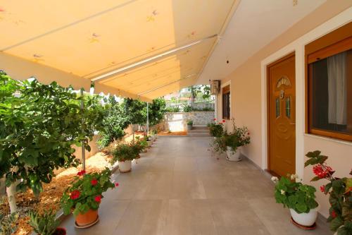 Apartment - Ground Floor image 3