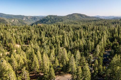 High Sierra Cabin with Grill, Serene Location!