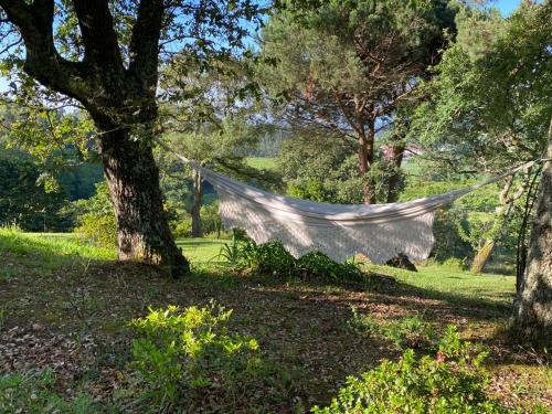 สภาพแวดล้อมโดยรอบ, Lovely 6-Bed Cottage in Barcelos - Vila Cova in อบาเด เด เนย์วา