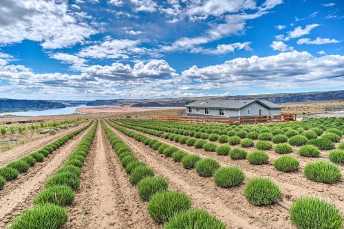 . Quincy Home on Lavender Farm w/ River Views!