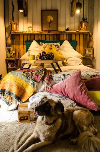 . Glamping en Container Sostenible CABINTAINER