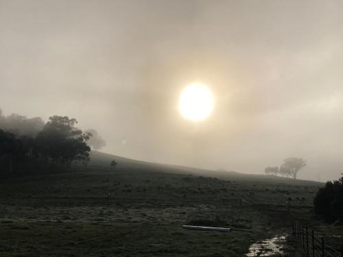 Sandalwood Downs Farm Stay Guest House TOODYAY