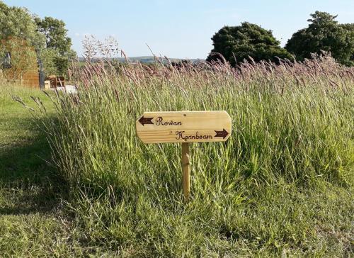 Hornbeam Luxury Eco Pod at Trewithen Farm Glamping