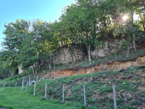 Le Séchoir des acacias, L'Orée du bois