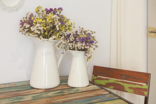 Vintage House Santa Catarina - image 12