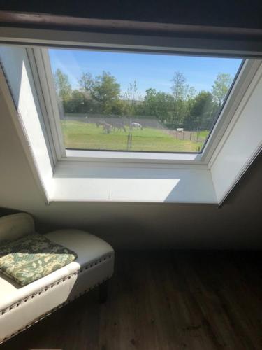 De Stjelp in Franeker