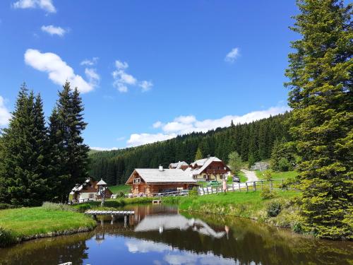 Schönberghütte in Lachtal, Österreich
