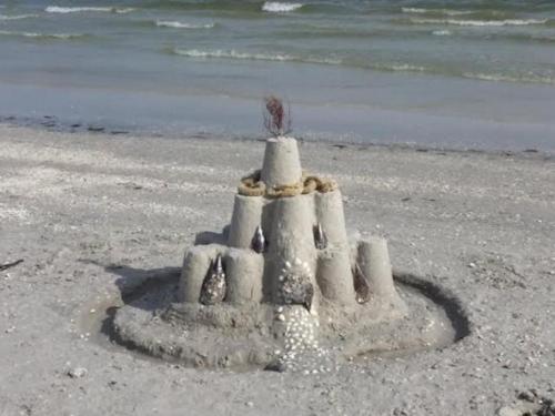 Sanibel Arms E8 - image 7