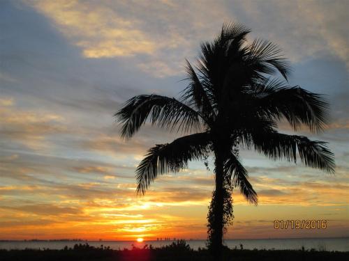 Sanibel Arms E8 - image 9