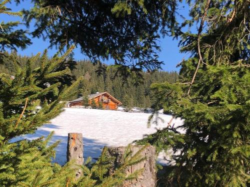 Schönberghütte Schönberghütte