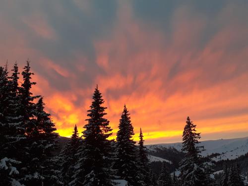 Schönberghütte Schönberghütte