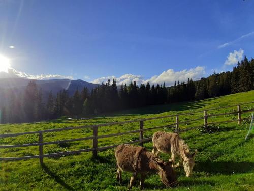 Schönberghütte Schönberghütte