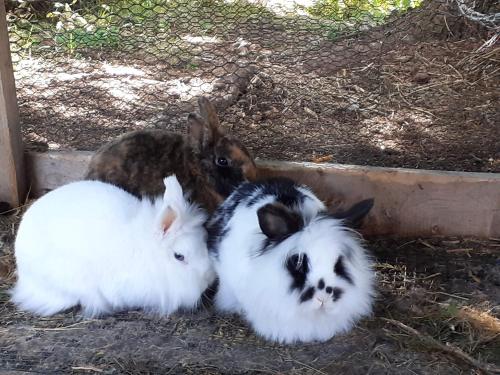Schönberghütte Schönberghütte