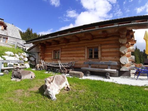 Schönberghütte Schönberghütte