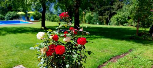  Gailtaler Apartments Alinkhof in Bach