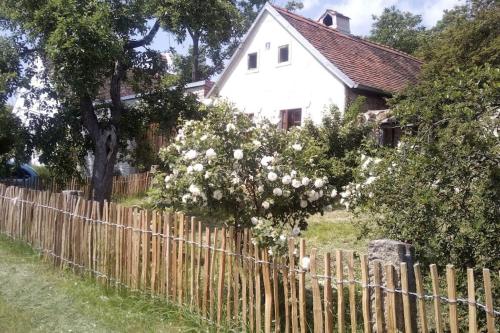 外部景觀, Útulný domek s malou zahrádkou (Utulny domek s malou zahradkou) in 達奇采