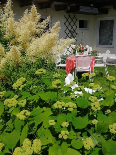 Secret garden house in the center of Sigulda