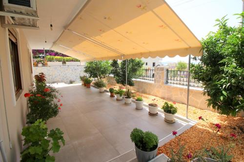Apartment - Ground Floor image 4