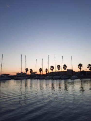 Voilier logement spacieux à louer au port - Gruissan Plage - 11 Aude