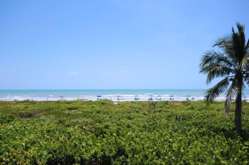Sanibel Arms G8 - image 2