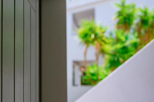 370603756 Inspira Boutique Hotel Thassos - Adults Only
