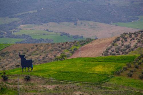 Senderismo, desconexión y exploración en Andalusia