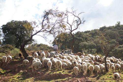 Senderismo, desconexión y exploración en Andalusia