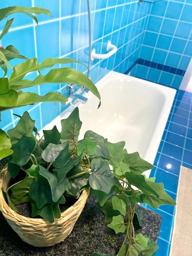 Bella Luna Apulian Living - Puglia Mia Apartments 4