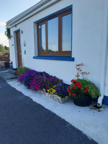 Rossroe Lodge B&B - image 5