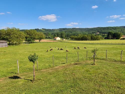 Le Séchoir des acacias, Gite: Les Falaises