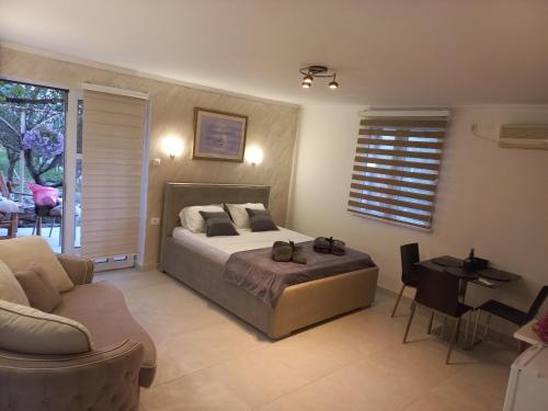 Apartments Stankovic & Boat tours in Sotonići