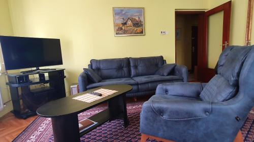 Apartment Roxana Vrdnik, Vrdnik