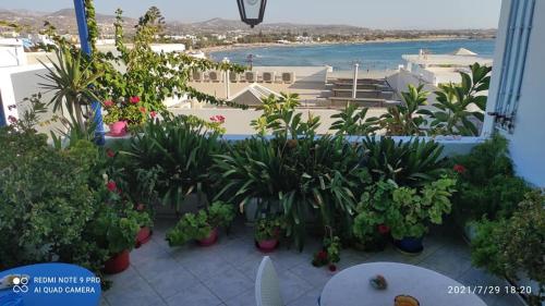 Hotel Elizabeth in Naxos Island