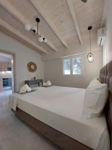  Electra Villa & Pool Studios in Gaios