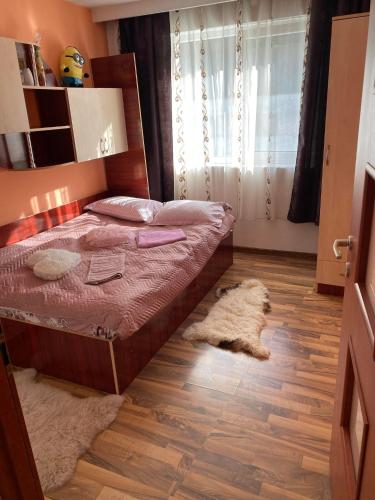 Apartament 2 camere - Apartment - Brezoi