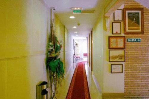 Hotel Restaurante Salvadora - image 4