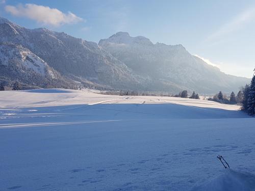 ferienhaus fussenegger