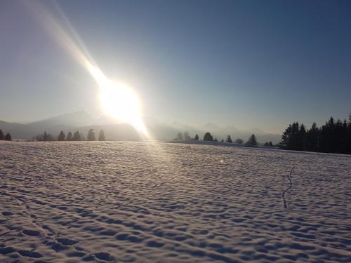 ferienhaus fussenegger