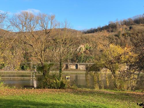 Direkter Moselblick I Altbau I 4 Personen I Terrasse