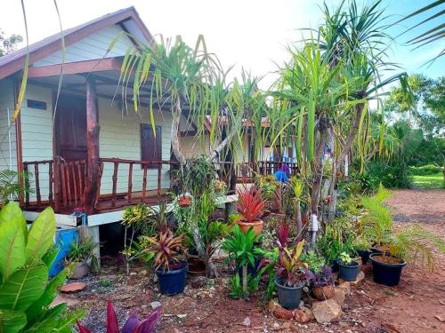 Blue Sky Bungalow