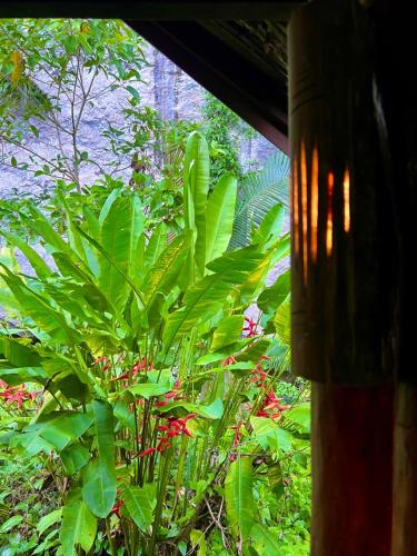 Khao Sok Silver Cliff Resort thumbnail 4