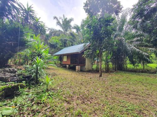 Khao Sok Silver Cliff Resort thumbnail 3