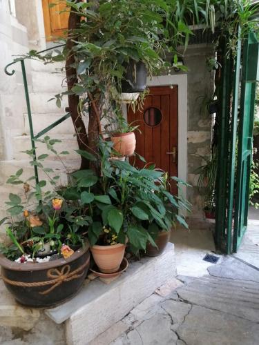 Adriana Downtown Guesthouse, Split (photo 9)