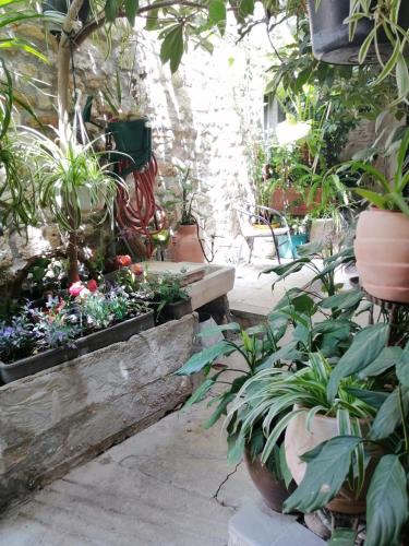 Adriana Downtown Guesthouse, Split (photo 10)