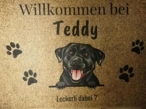 Zuhanyzó, Haus Ferchen Gartenzimmer in Enge-Sande