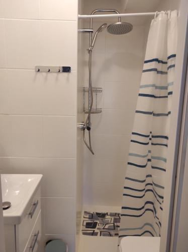 Family Room with Bathroom image 4