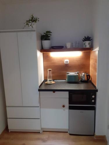 One-Bedroom Apartment image 2